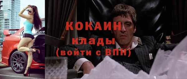 гашик Арсеньев