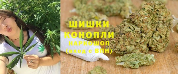 гашик Арсеньев