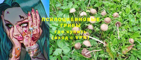 гашик Арсеньев