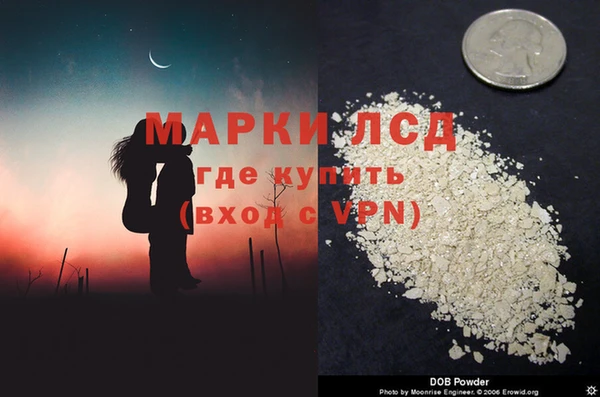 спайс Аркадак